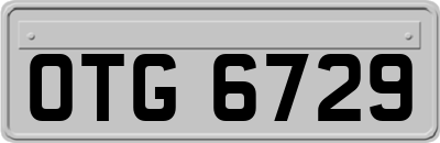 OTG6729