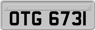 OTG6731