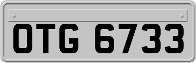 OTG6733