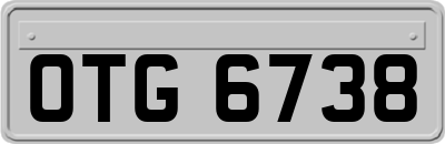 OTG6738