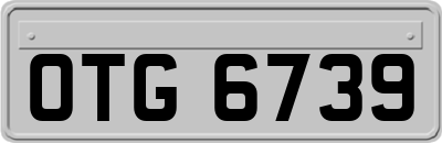OTG6739