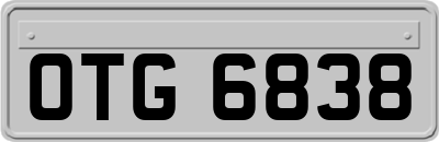 OTG6838