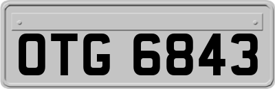 OTG6843