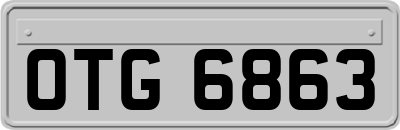 OTG6863