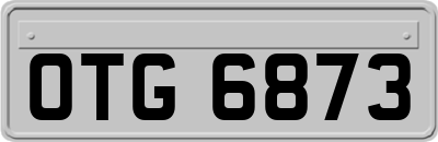OTG6873