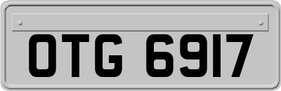 OTG6917