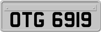 OTG6919