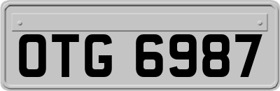 OTG6987