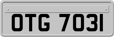 OTG7031