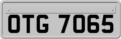 OTG7065