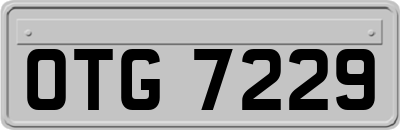 OTG7229