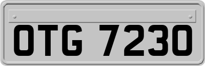 OTG7230