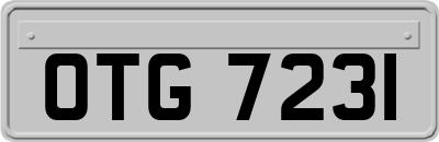 OTG7231