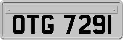OTG7291