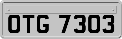 OTG7303
