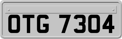 OTG7304