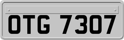 OTG7307