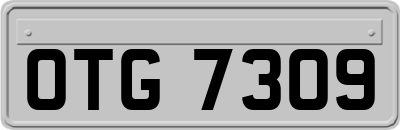 OTG7309