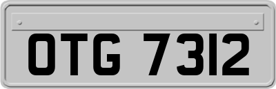 OTG7312