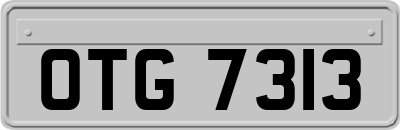 OTG7313