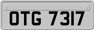 OTG7317