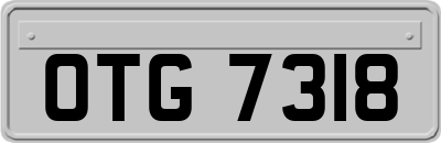 OTG7318
