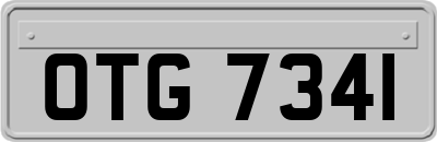 OTG7341
