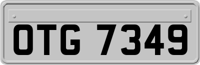 OTG7349