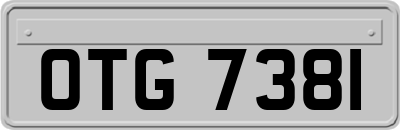 OTG7381