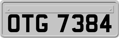 OTG7384