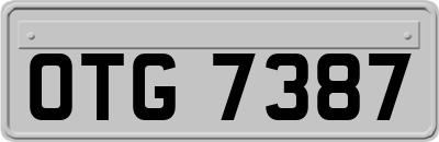 OTG7387