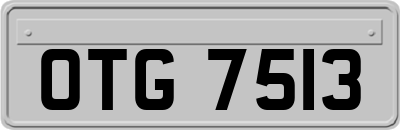 OTG7513