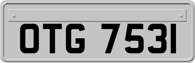 OTG7531
