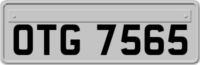 OTG7565