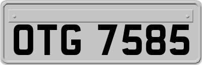 OTG7585