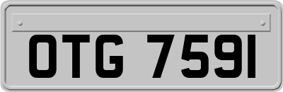 OTG7591
