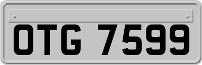 OTG7599