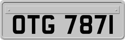 OTG7871