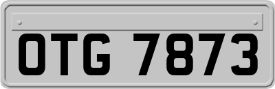 OTG7873
