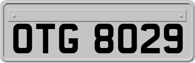 OTG8029