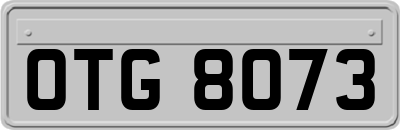 OTG8073