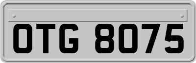 OTG8075