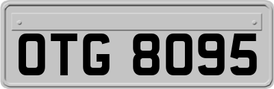 OTG8095