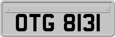 OTG8131