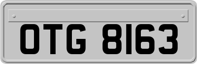 OTG8163