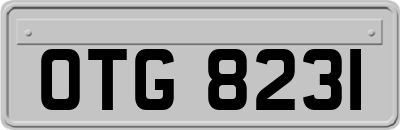OTG8231