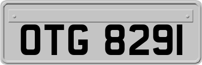 OTG8291