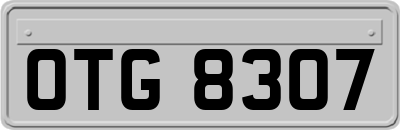 OTG8307