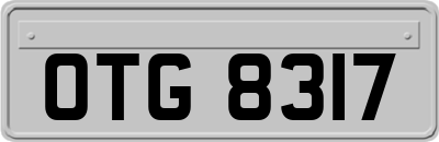 OTG8317