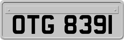 OTG8391